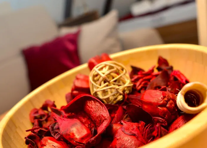 Montis - Centar コパオニク