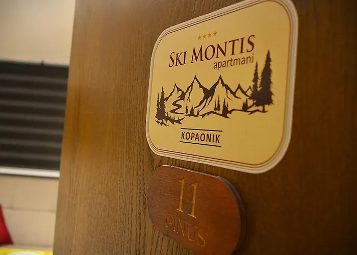 Montis - Centar * コパオニク